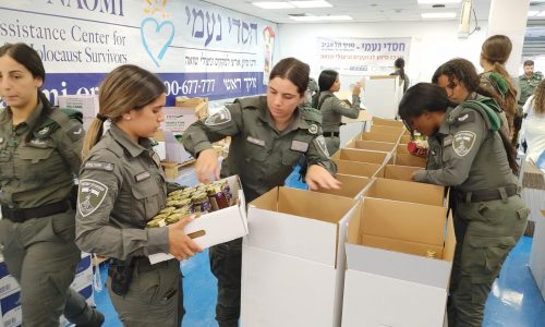 ארזית סלי מזון מיוחדים לראש השנה על ידי כוחות מגב